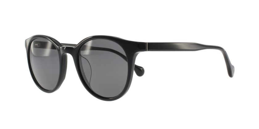Anson Benson BF2024S001 Sunglasses - 45 Degree View